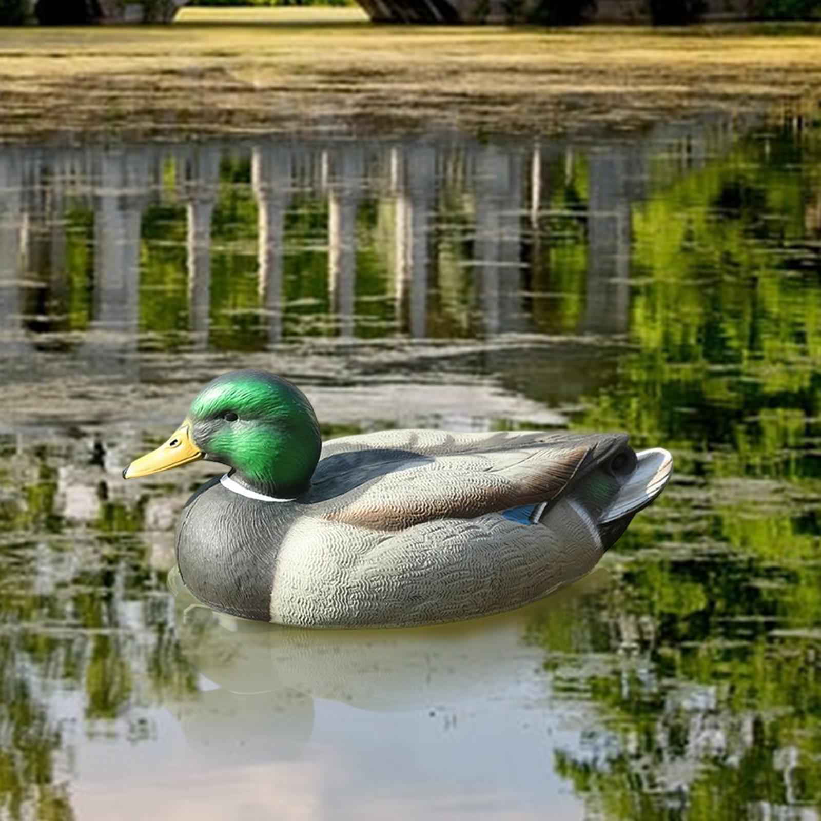 Decoy Duck Plastic - Umpan Bebek Mallard Jantan Plastik yang
