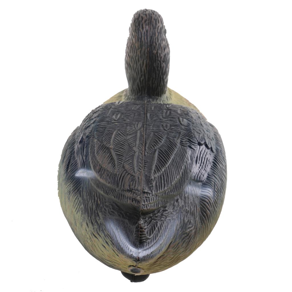 Aksesoris Berburu Umpan Bebek  - Decoy Duck Plastic ulasan dan harga