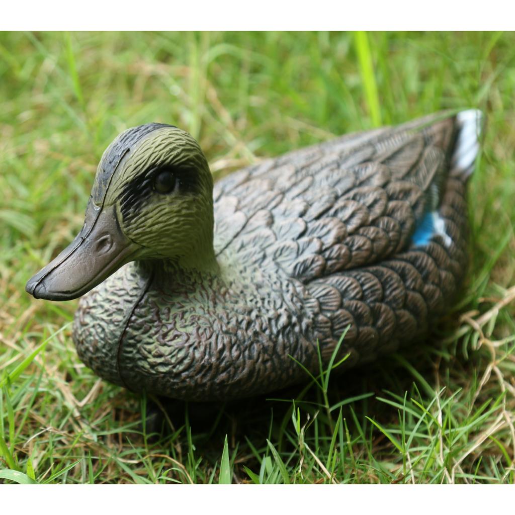 Ornamen Bebek Mandarin, Bebek  - Decoy Duck Plastic ulasan dan harga