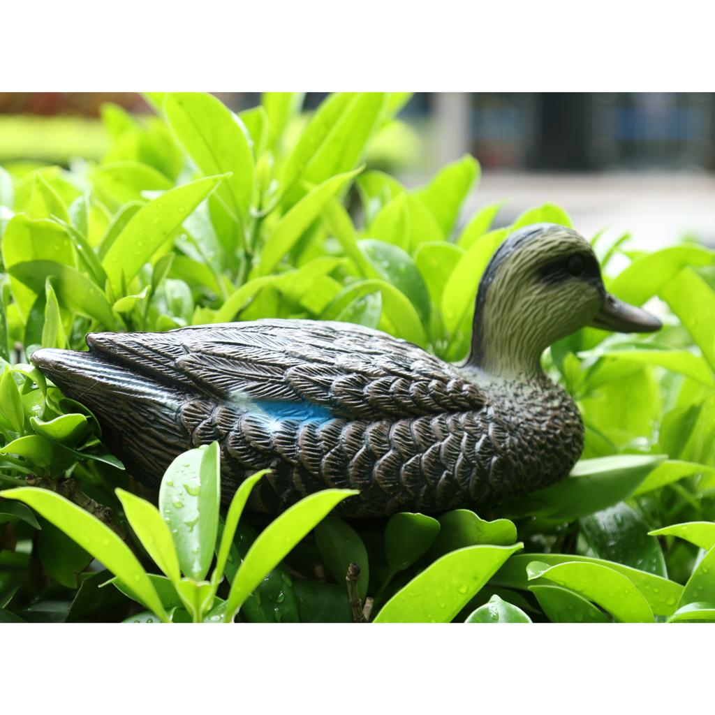 Burung Bebek Mandarin Plastik  - Decoy Duck Plastic ulasan dan harga
