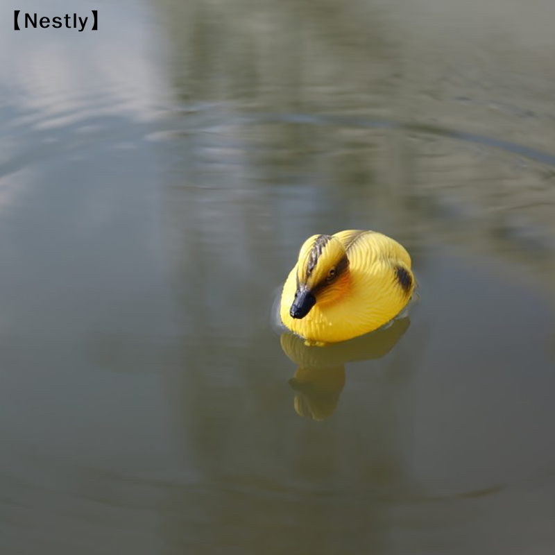 Patung Bebek Mengambang di Kol - Decoy Duck Plastic ulasan dan harga