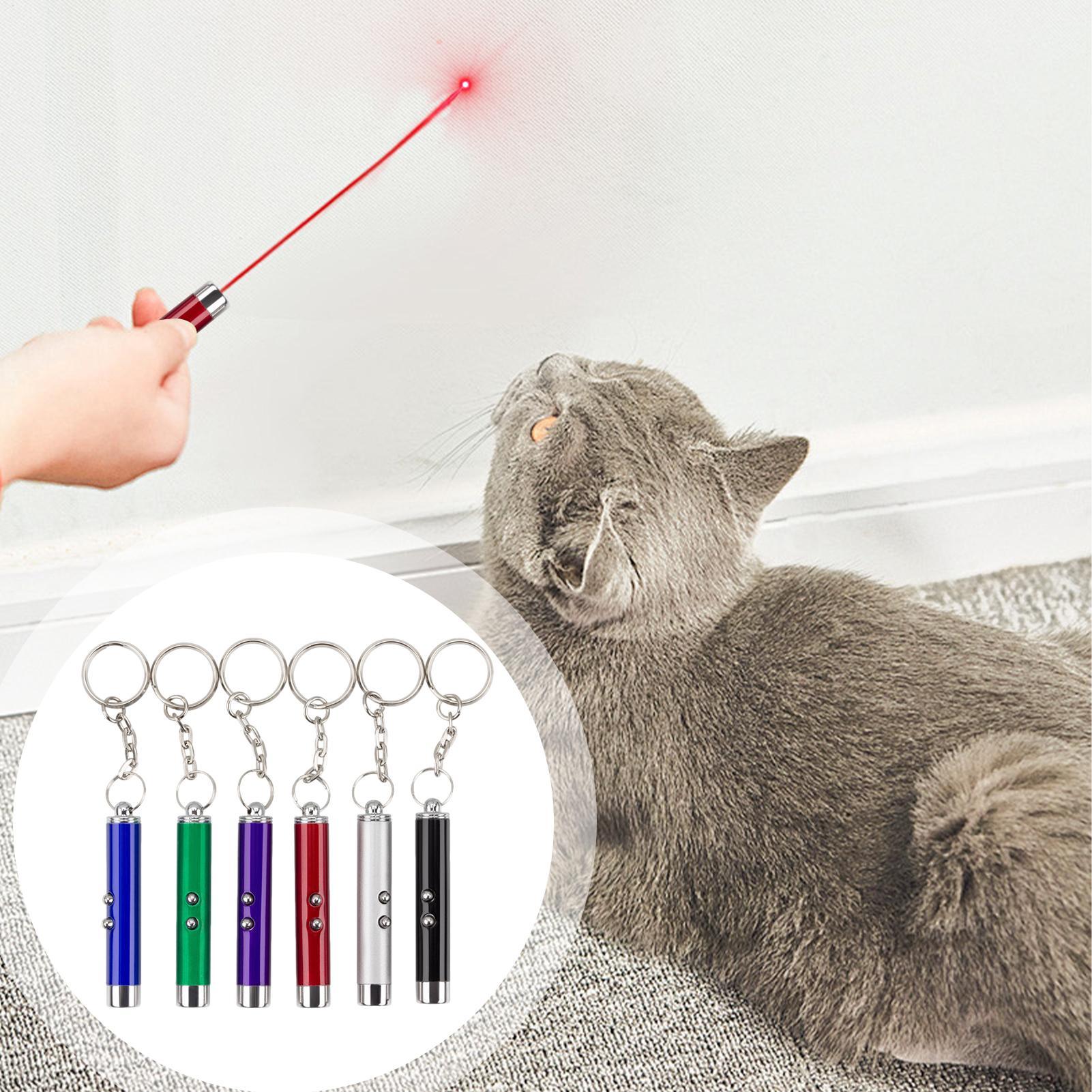 Mainan Kucing Tongkat Laser Po - Trail Camera Infrared ulasan dan harga