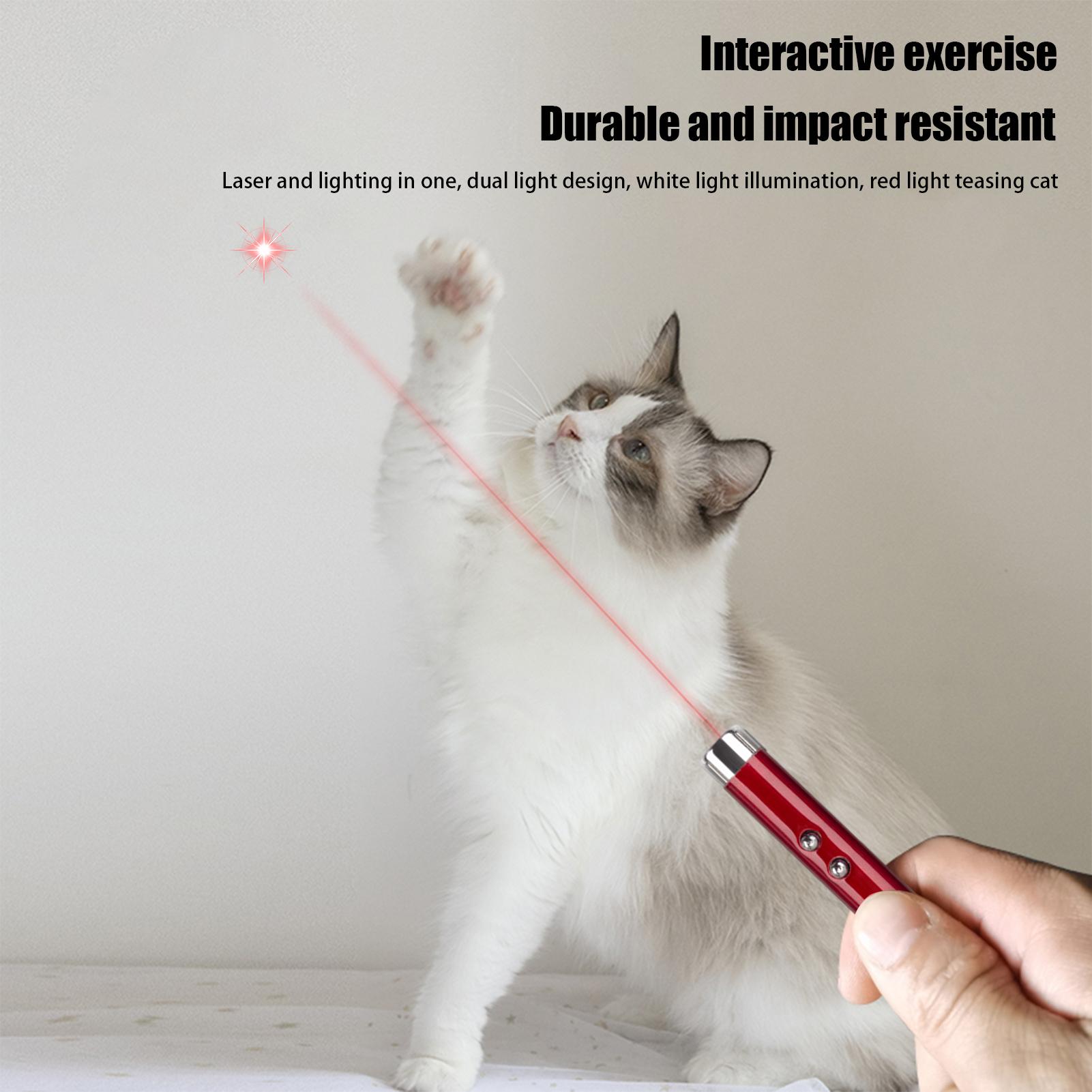 Mainan Kucing Tongkat Laser Po - Trail Camera Infrared ulasan dan harga