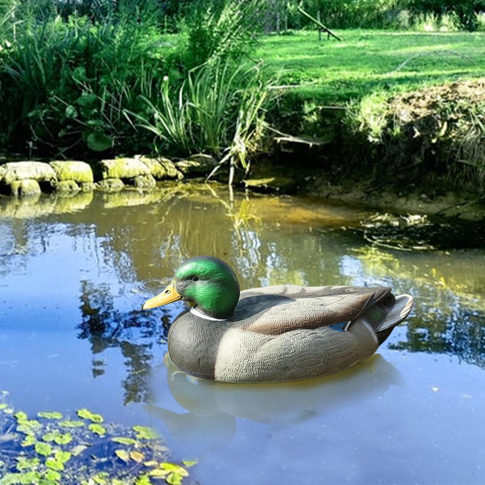 Umpan Bebek Mallard Jantan Pla - Decoy Duck Plastic ulasan dan harga